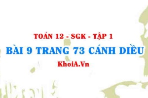 Bài 9 trang 73 Toán 12 tập 1 Cánh Diều